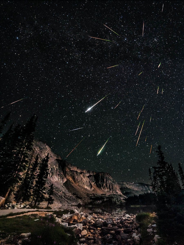 Wyróżnienie w kategorii "Earth and Space"
"Icy Visitor", fot. Fredrik Broms (Norwegia)


Można przewidzieć skąd będą wylatywać, ale nigdy nie wiadomo kiedy i w jakim kierunku polecą - meteory. Zdjęcie przedstawia sierpniowy rój meteorowy Perseidy w maksimum ich aktywności przypadającym na okolice 12 sierpnia. To zdjęcie jest złożeniem 23 fotografii, aby pokazać dynamizm tego fascynującego zjawiska.

Sprzęt: Nikon D700 z obiektywem Rokinon 14 mm f/2.8, ISO 3200, 30 s